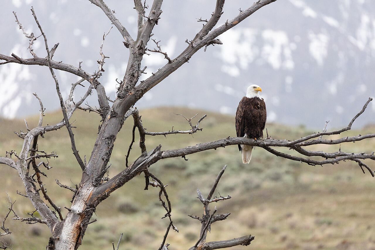 NPS / Jacob W. Frank