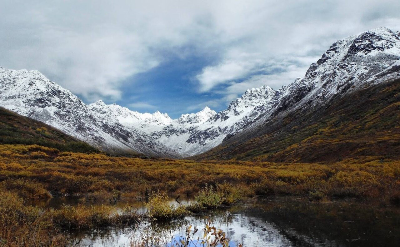 The interior part of Alaska receives the same amount of annual precipitation as Tucson, Arizona, but its landscape is far from desert-like – picture vast spruce forests punctuated by streams and field