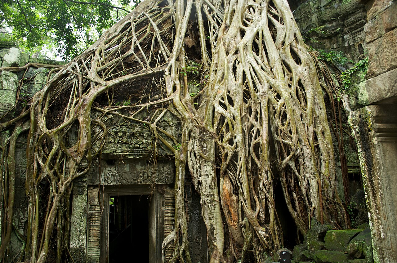 Apsara Carvings, Angkor Wat, Cambodia