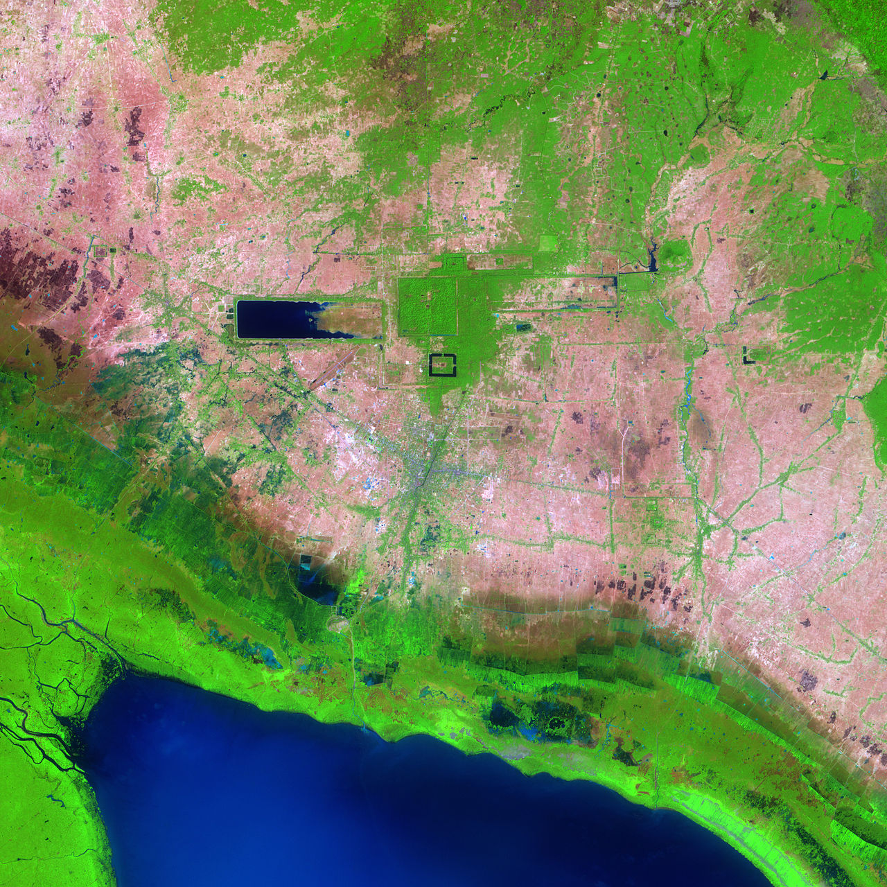 Ta Prohm Temple, Angkor, Cambodia