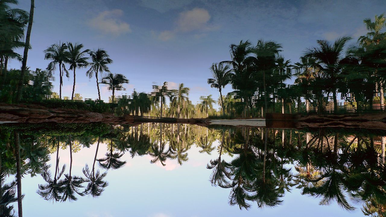 180 flip of Upper Lagoon Atlantis Paradise Island photo D Ramey Logan.jpg