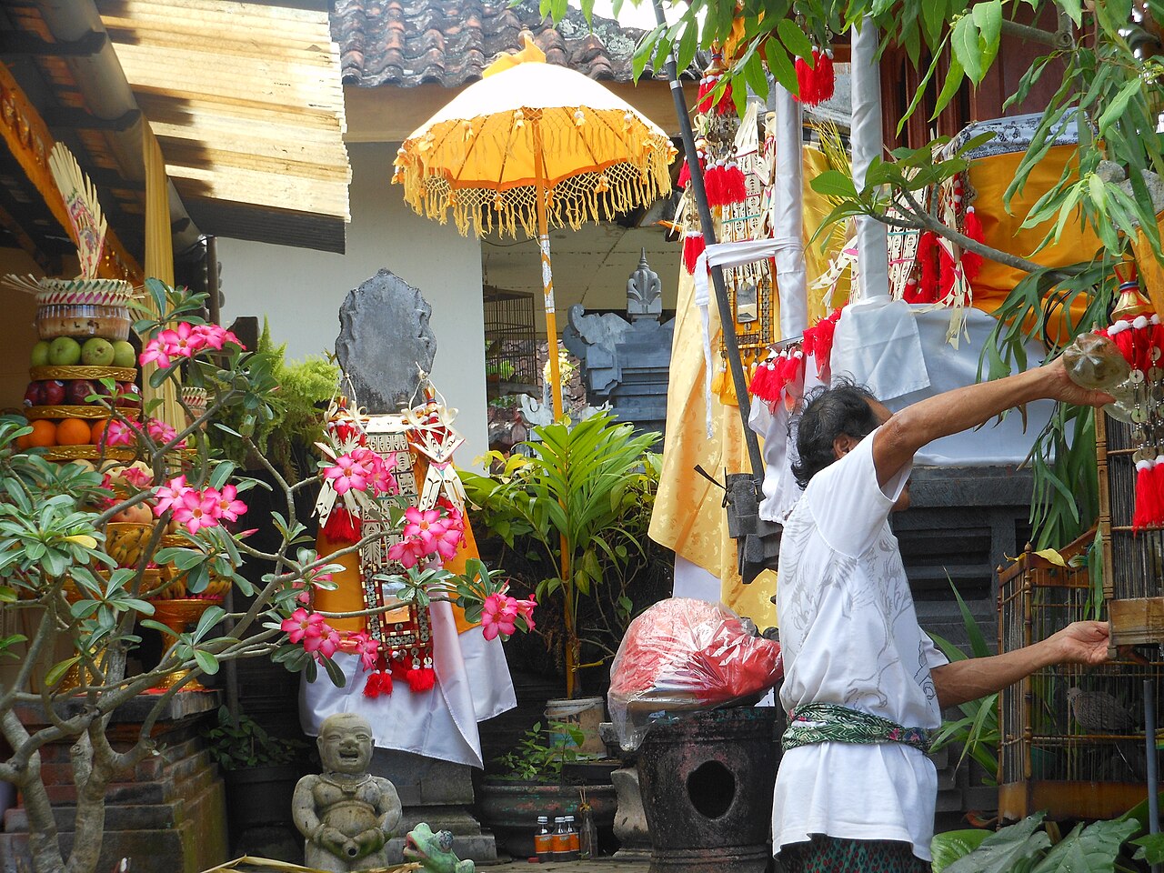 A Balinese in Temple ceremony 2012