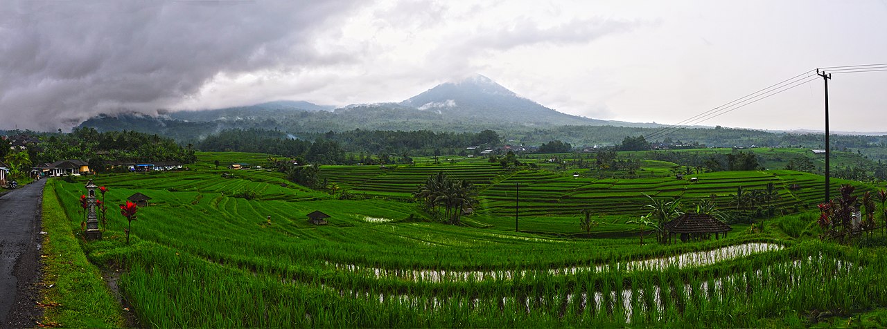 rice terrace Jutilawih Bali Indonesia panorama UNESCO WHS 2011