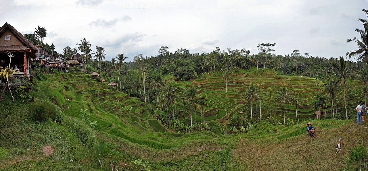 Tegalalang rice terrace Ubud Bali 2011 panorama