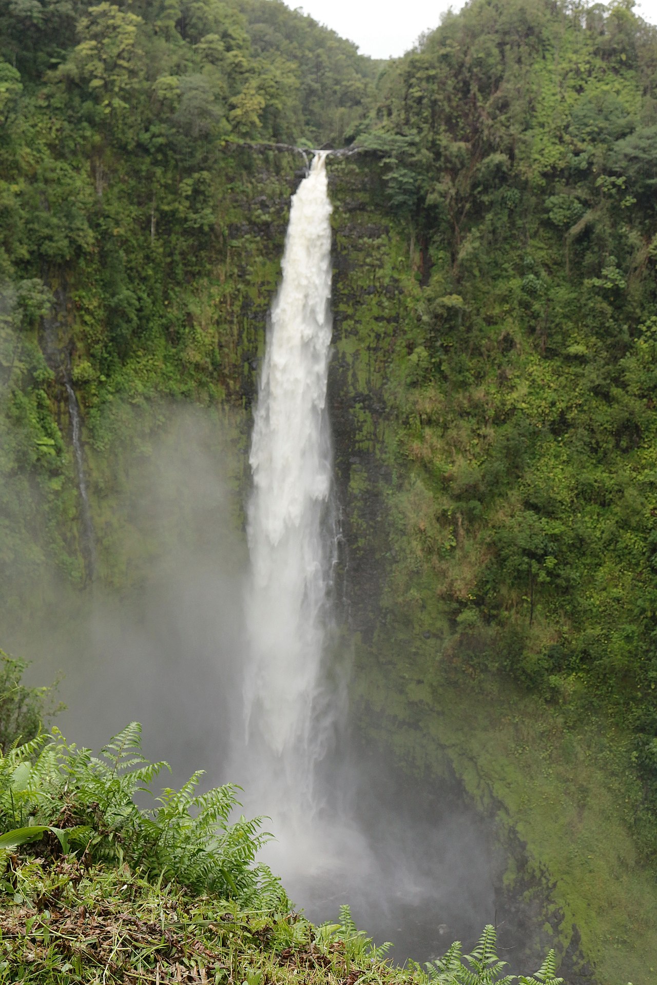 Akaka Falls, Akaka Falls State Park, Pepeekeo, Big Island, Hawaii, United States