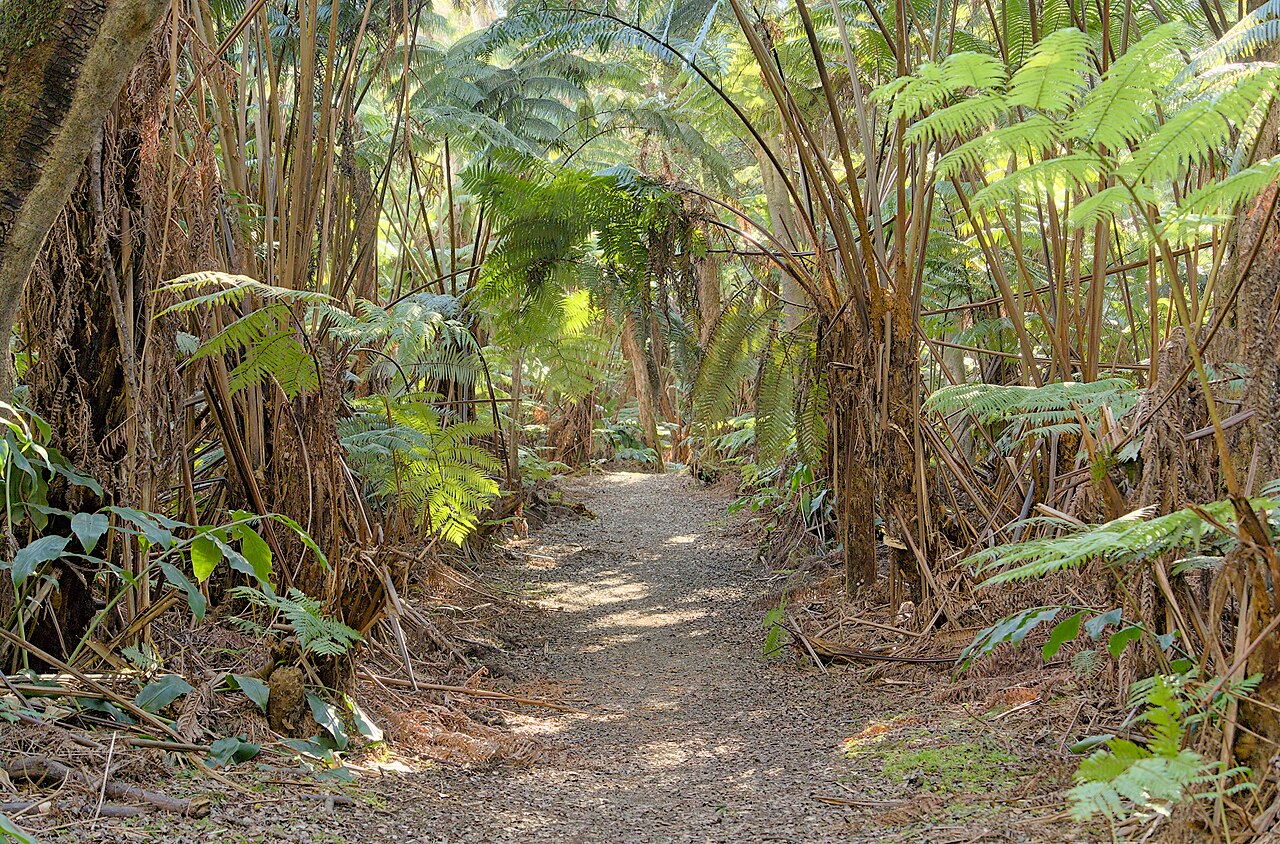 Crater Rim Trail (Hawaiʻi Volcanoes National Park)