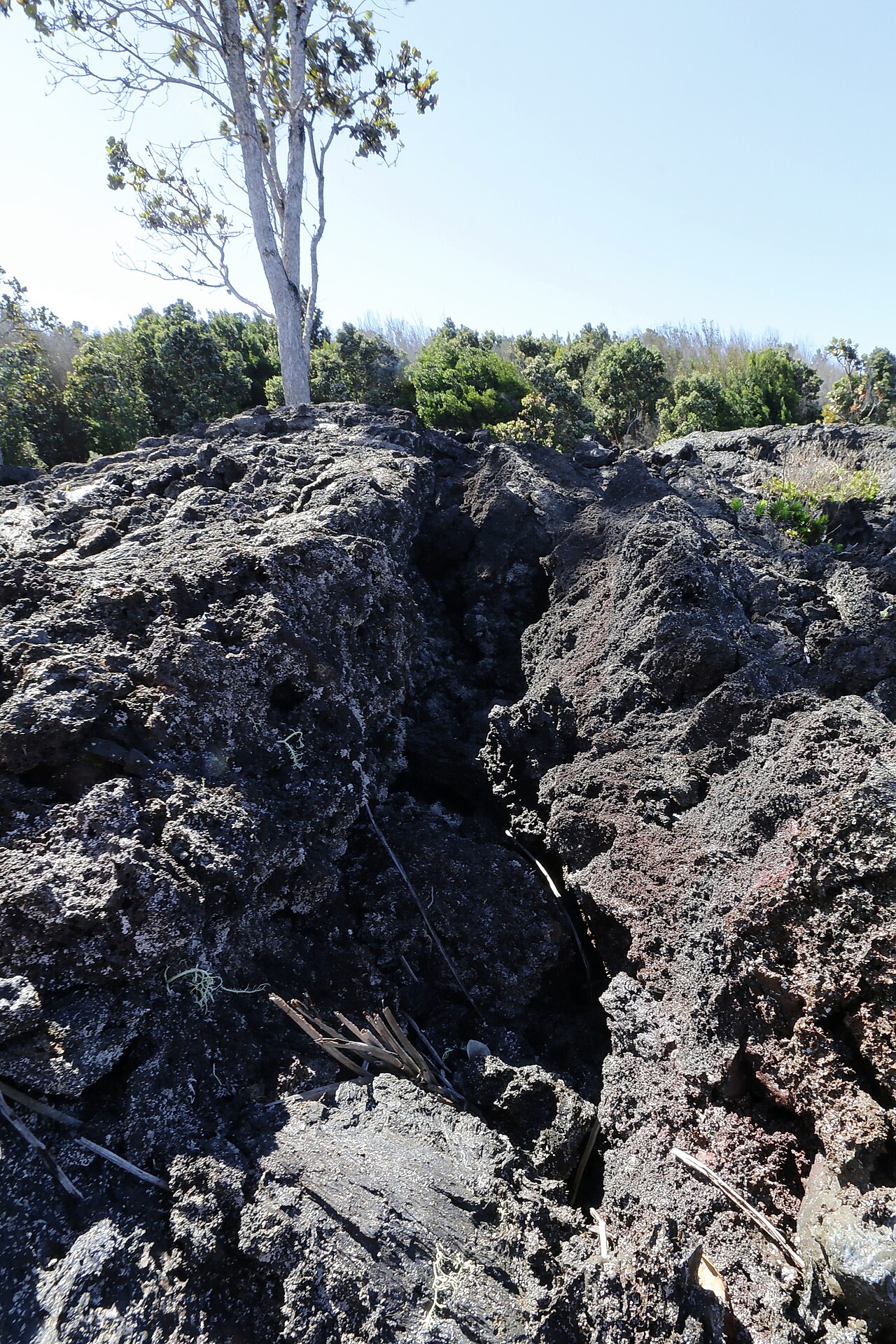 Hawaii Volcanoes National Park, Big Island, Hawaii, United States