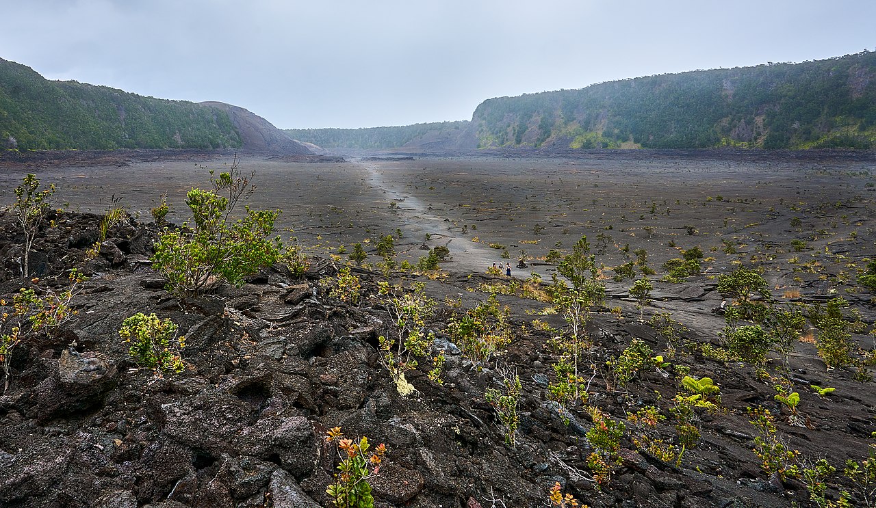 In Hawaii Big Island, from my vacation in the summer 2021. This is a super-fun hike, just a few hours.

Happy New Year to all flickr photographers.