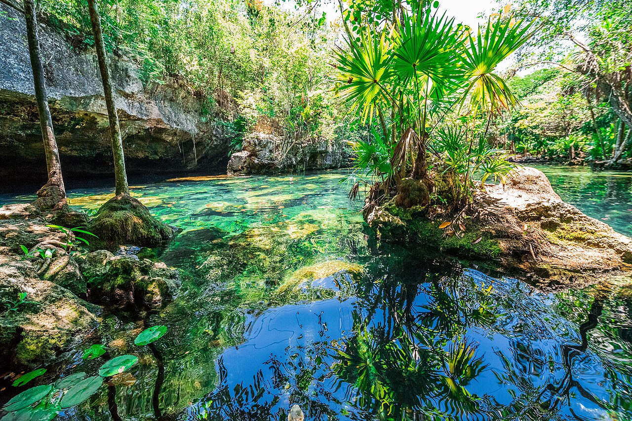 Cenote Azul is a stunning natural sinkhole in Mexico with crystal-clear blue waters, surrounded by lush jungle, offering a captivating and refreshing swimming experience.