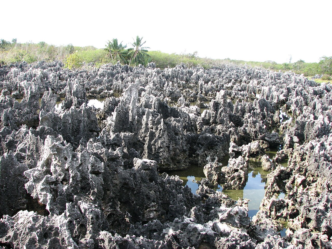 Limestone Rocks - Reason for the town's name of Hell - Only area of island that has this rock in mass.