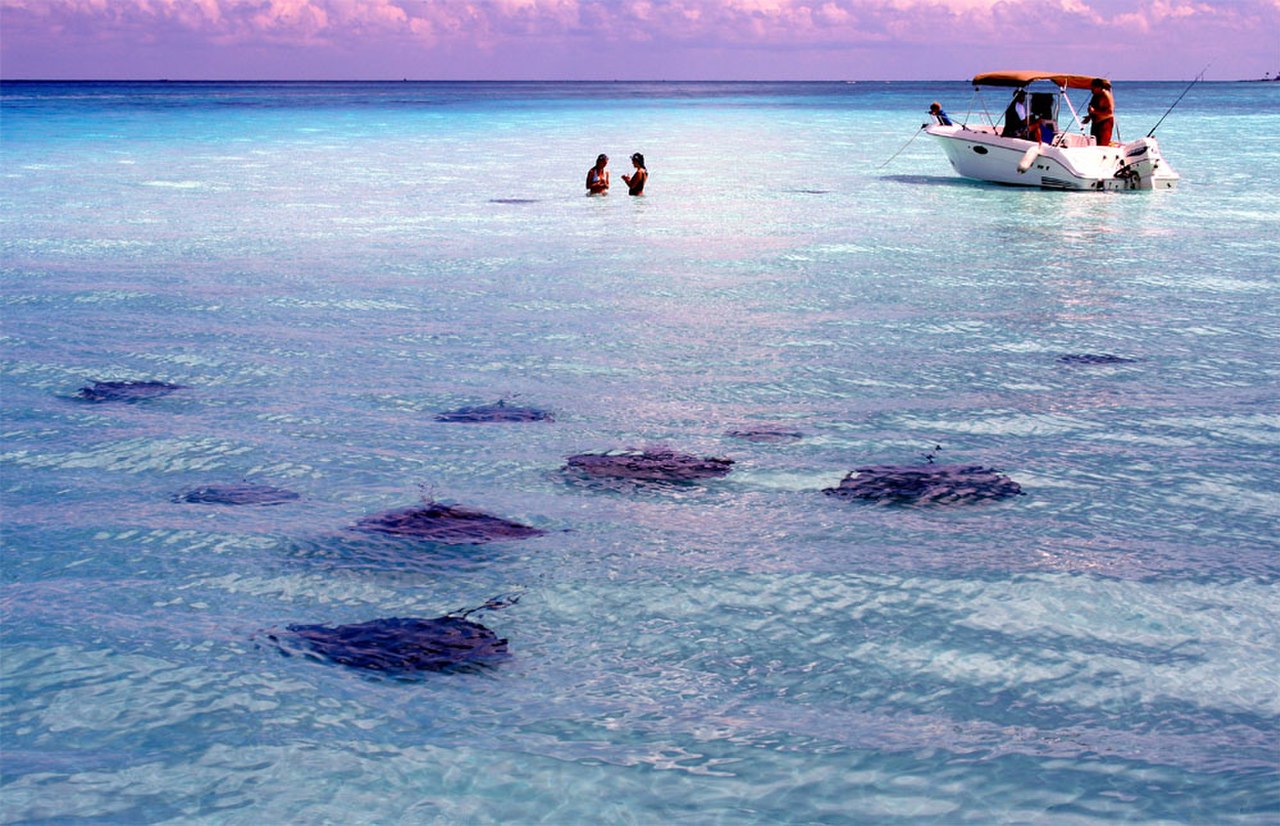 Storm brewing in the horizon

Stingrays are very friendly in the Cayman Islands... biggest tourist attraction here.  Over 100 stingrays can be found on this sandbar located about 45 mins away from Gra