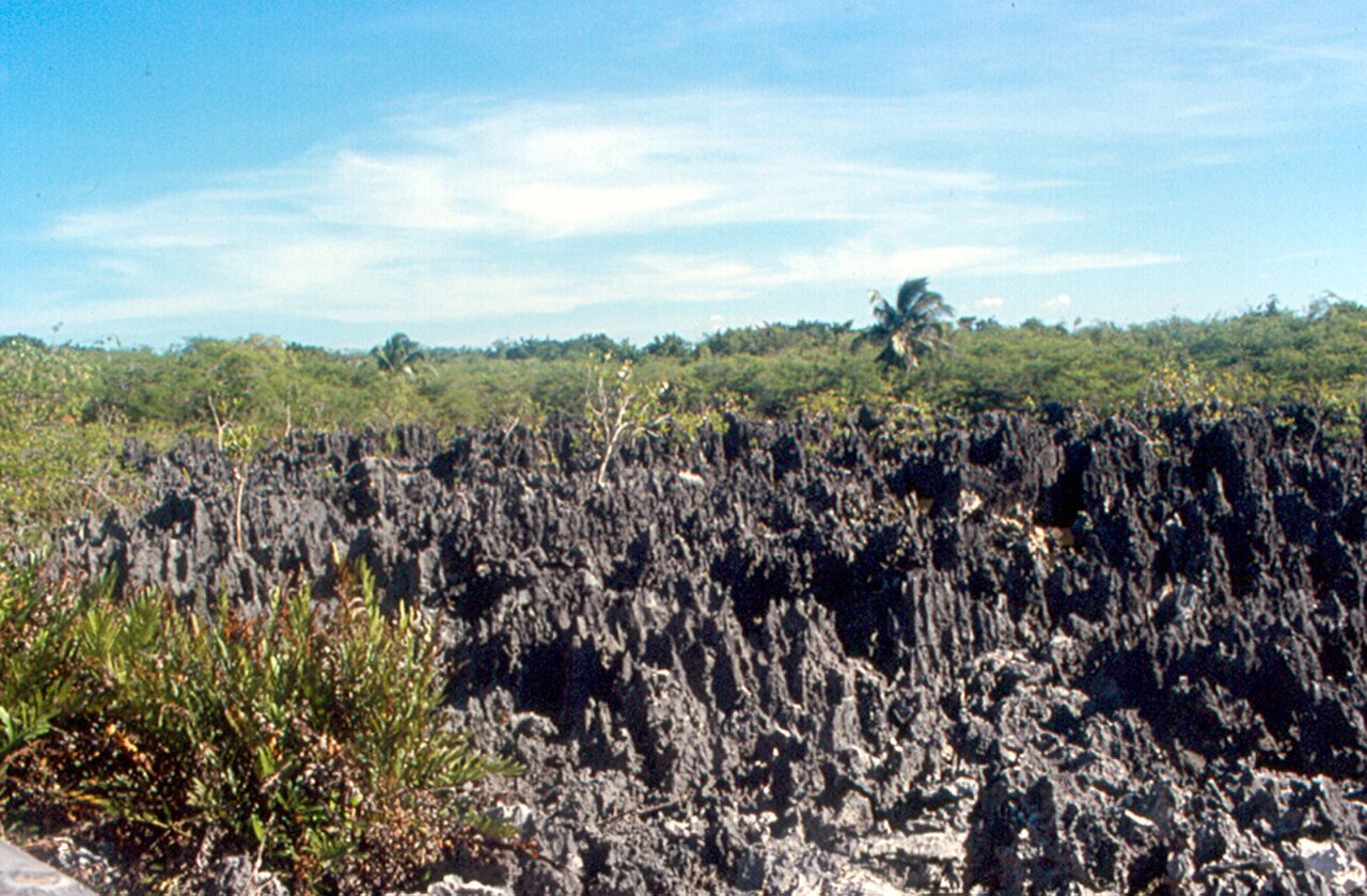 This is a formation of black limestone rock near the Turtle Farm and Seven Mile Beach, north of George Town, on Grand Cayman.  It is a town of sorts.  There is a small building which sells postcards a
