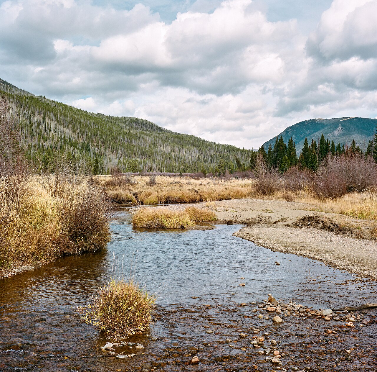 The Colorado River near Holzwarth Historic District in Rocky Mountain National Park, Colorado, on October 17, 2024. Taken with a Rolleiflex 3.5F on Kodak Portra 400.