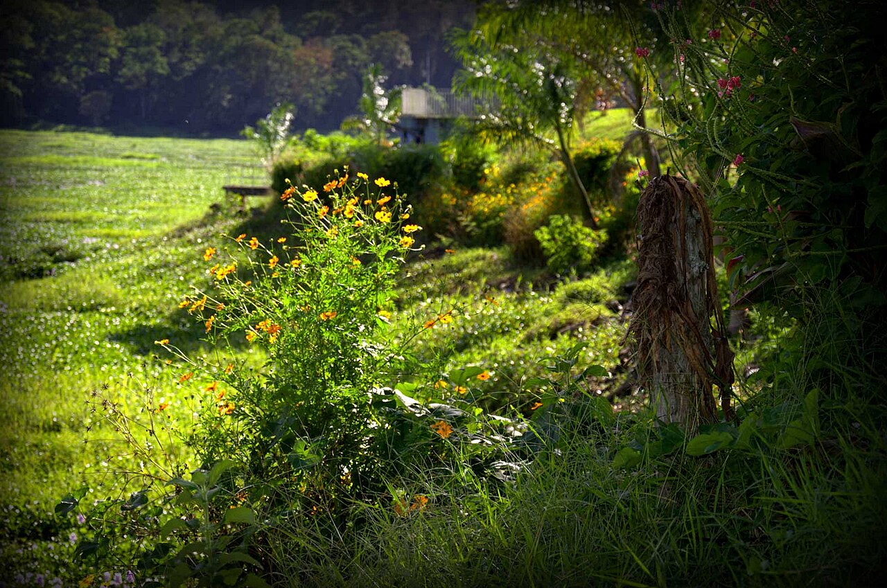 2013 Charrarra Cartago Costa Rica 3