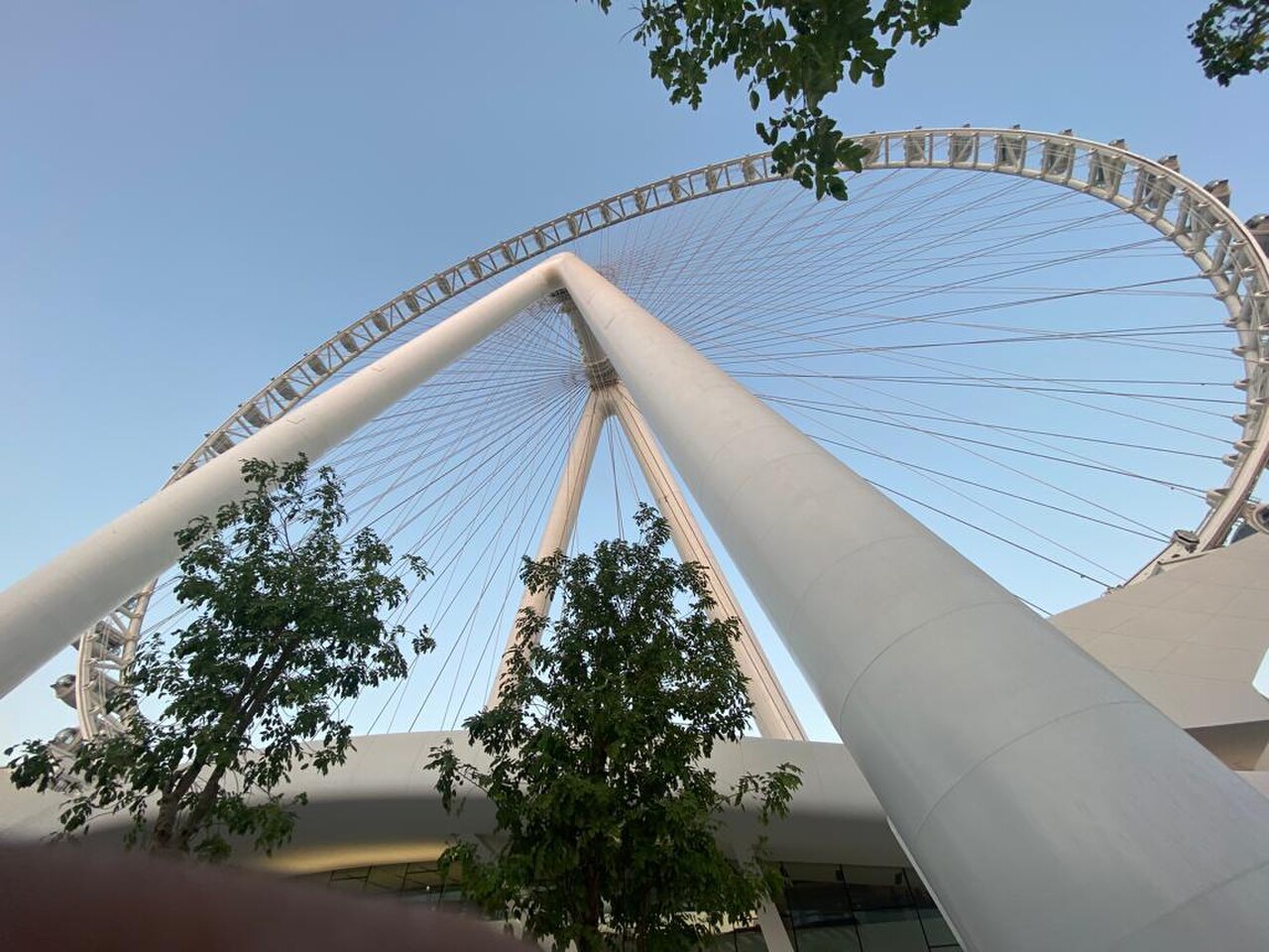 Ain Dubai is the highest observation wheel in Dubai providing a 360 degree view.
