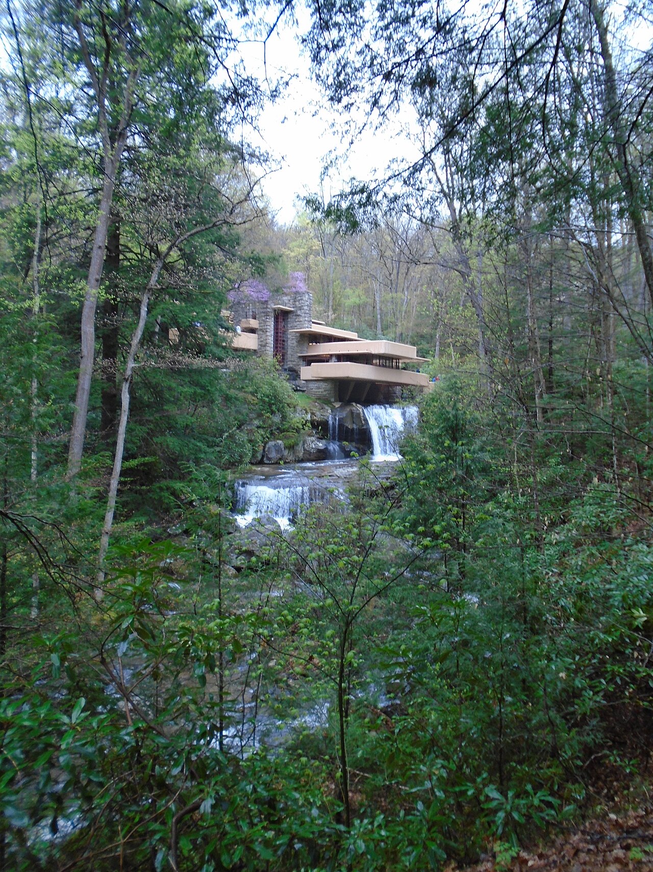 Fallingwater, the classic view.