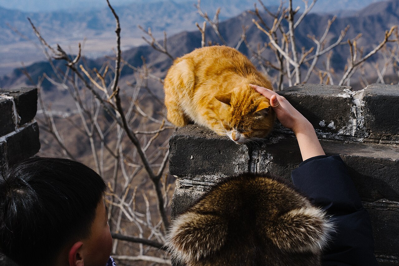 Mutianyu Section, Great Wall, Beijing, China