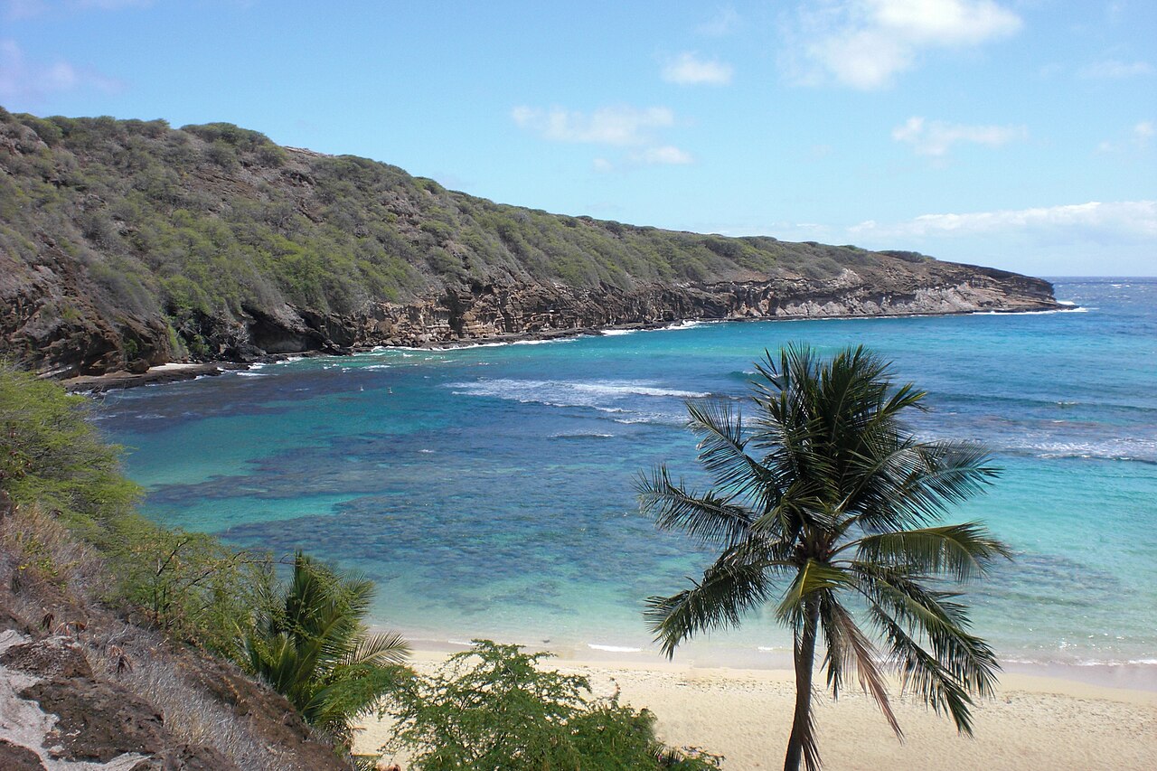 Hanauma Bay, Oahu, Hawaii, USA (left side of the bay, beach, palm, coral reef)
