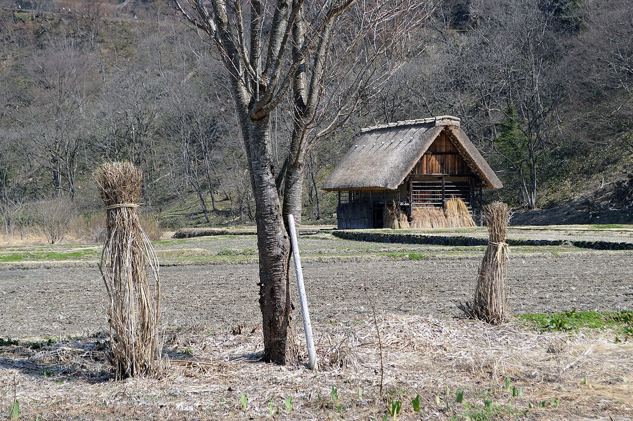 Farmhouse on the edge of town, Ogimachi, Shirakawa