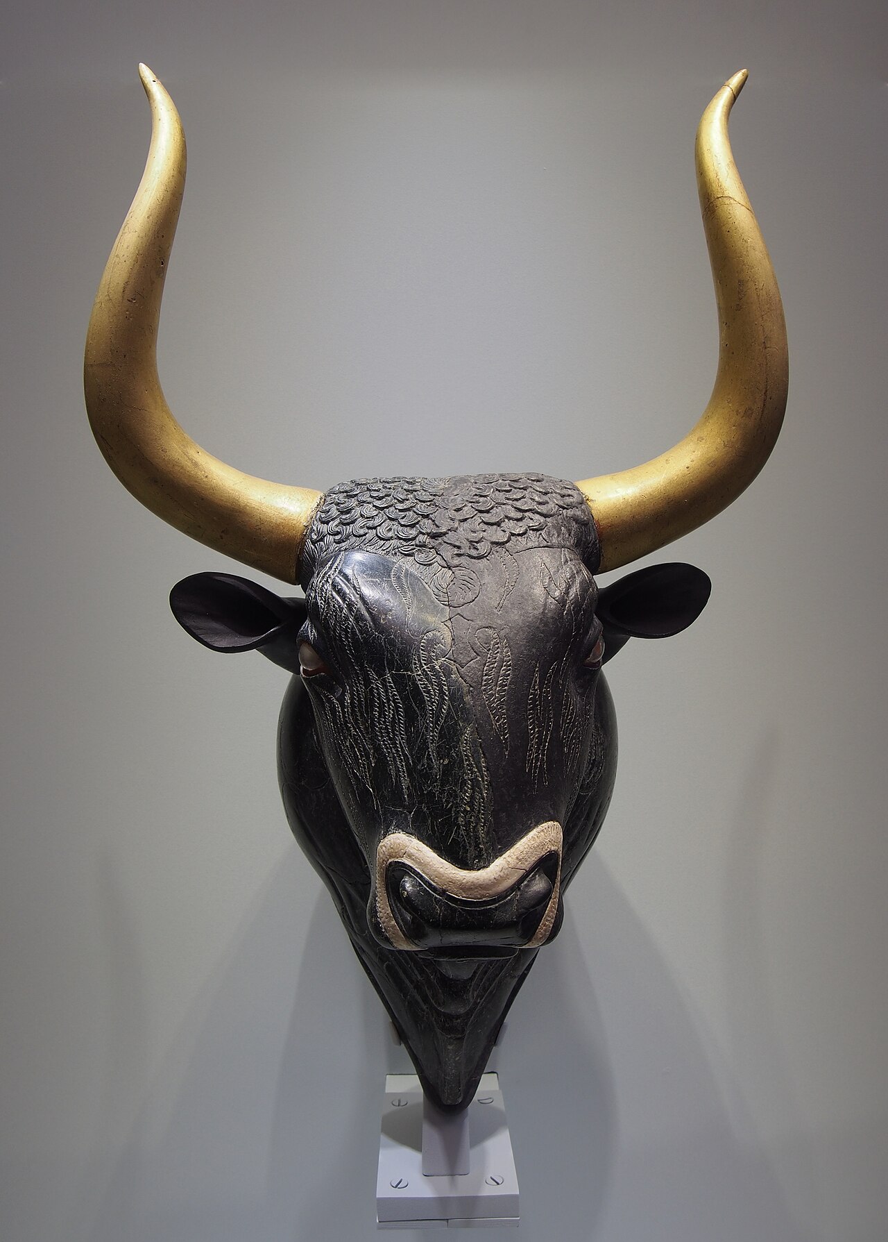 Face-on view of the bull-head rhyton, characteristic example of Minoan stone carving of the early Neopalatial period. Only the left part of the face is original, the right and the horns are lost. The 
