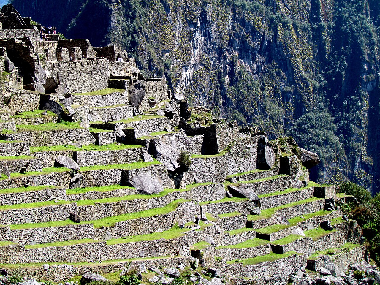 06 Terraces Machu Picchu Peru 2525