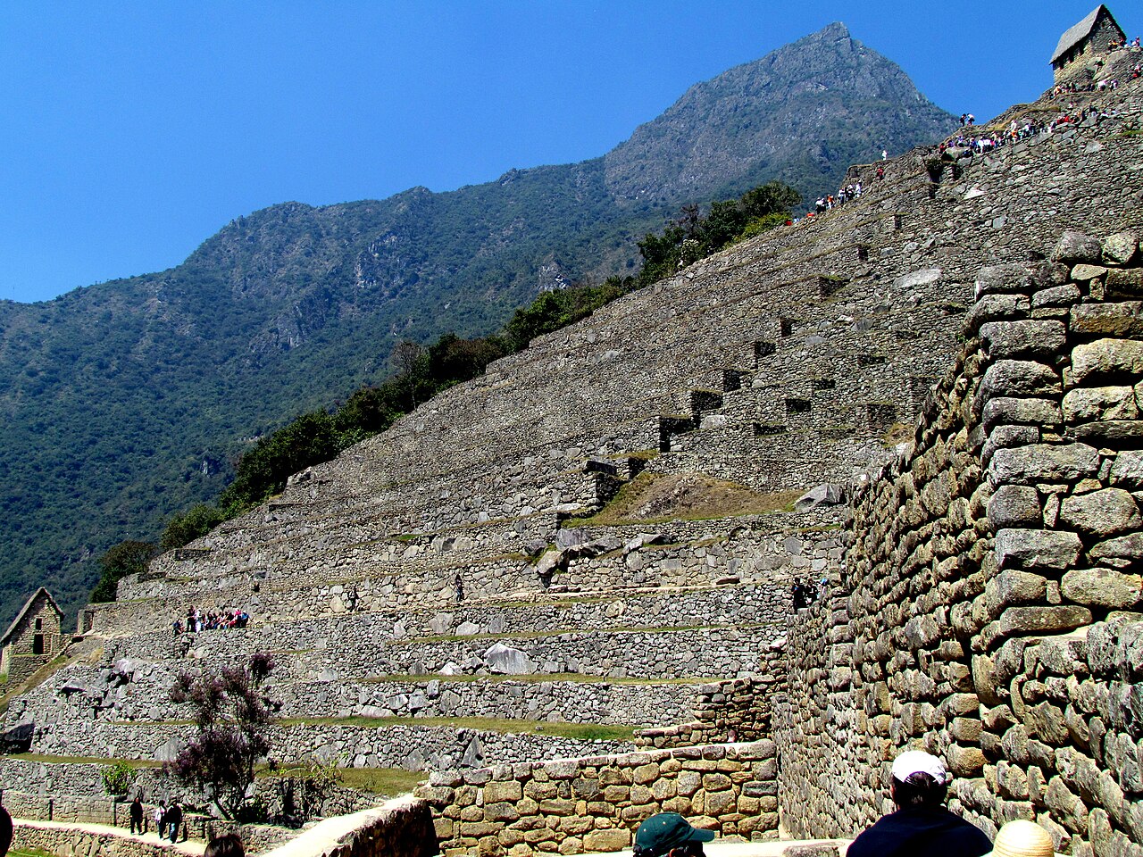 Upper Terraces, Machu Picchu, Peru