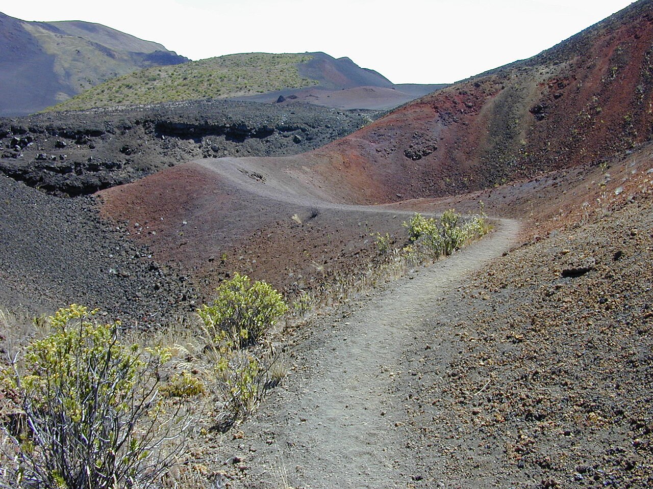 Dubautia menziesii (Kupaoa)
Landscape at Peles paintpot Haleakala National Park, Maui, Hawaii.
September 26, 2001
>#010926-0050 

Image Use Policy