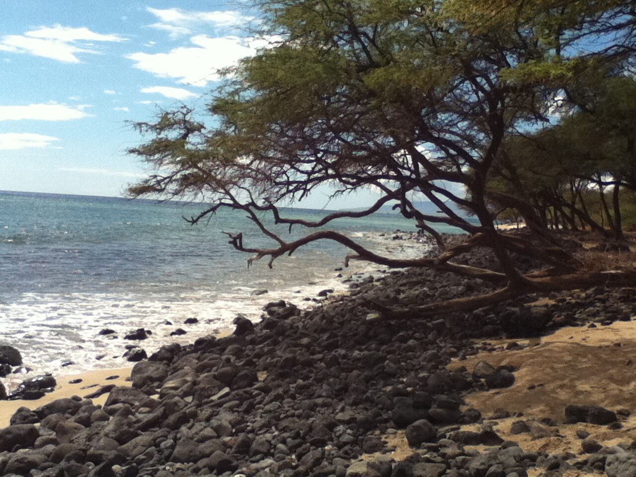 Maalaea Coral Gardens near Pali tunnel — Maui.
