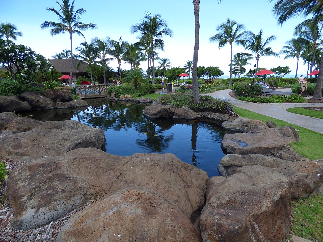 Wikstroemia uva-ursi (Akia)
Condo ponds landscaping along coastal path at Kaanapali Beach Walk, Maui, Hawaii.
June 21, 2016


#160621-0727


Image Use Policy