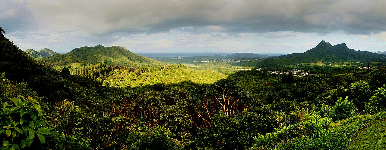 Nuʻuanu Pali is a section of the windward cliff of the Koʻolau mountain located at the head of Nuʻuanu Valley on the island of Oʻahu. It has a panoramic view of the windward coast of Oʻahu.