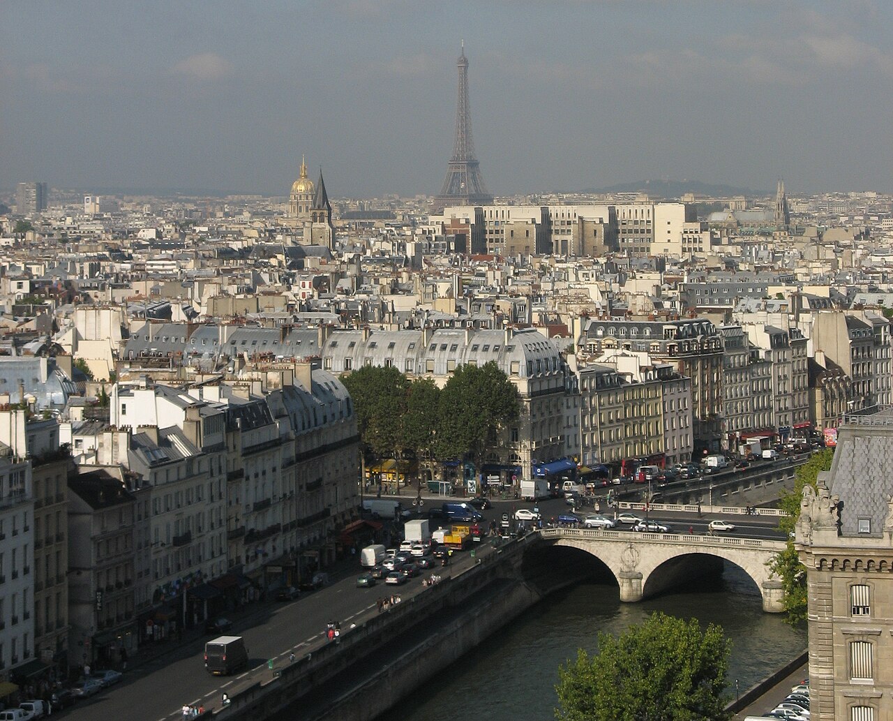 paris from notre dame, france