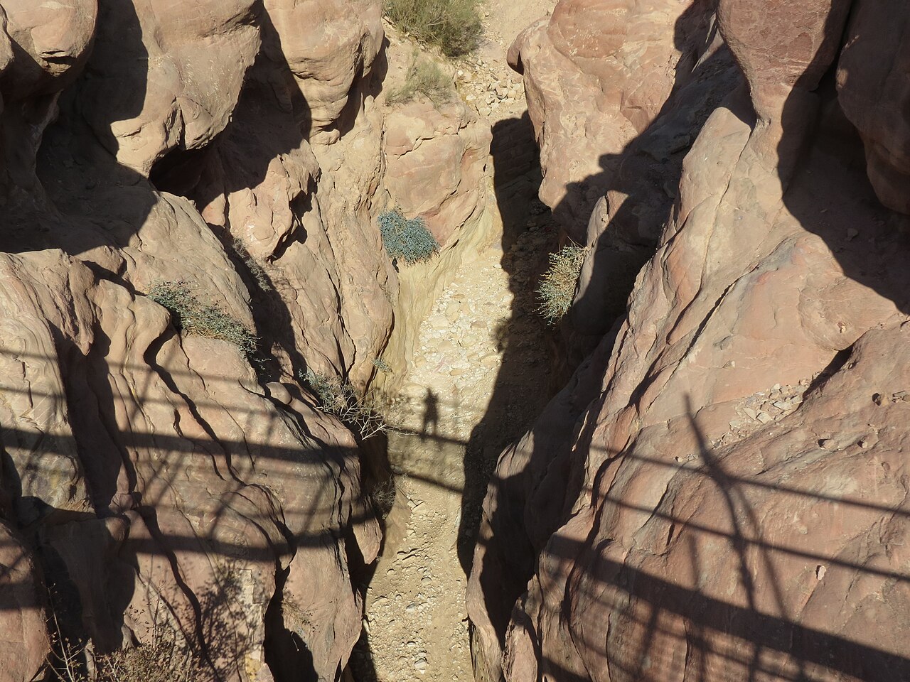 Colonnaded Street, Petra, Jordan