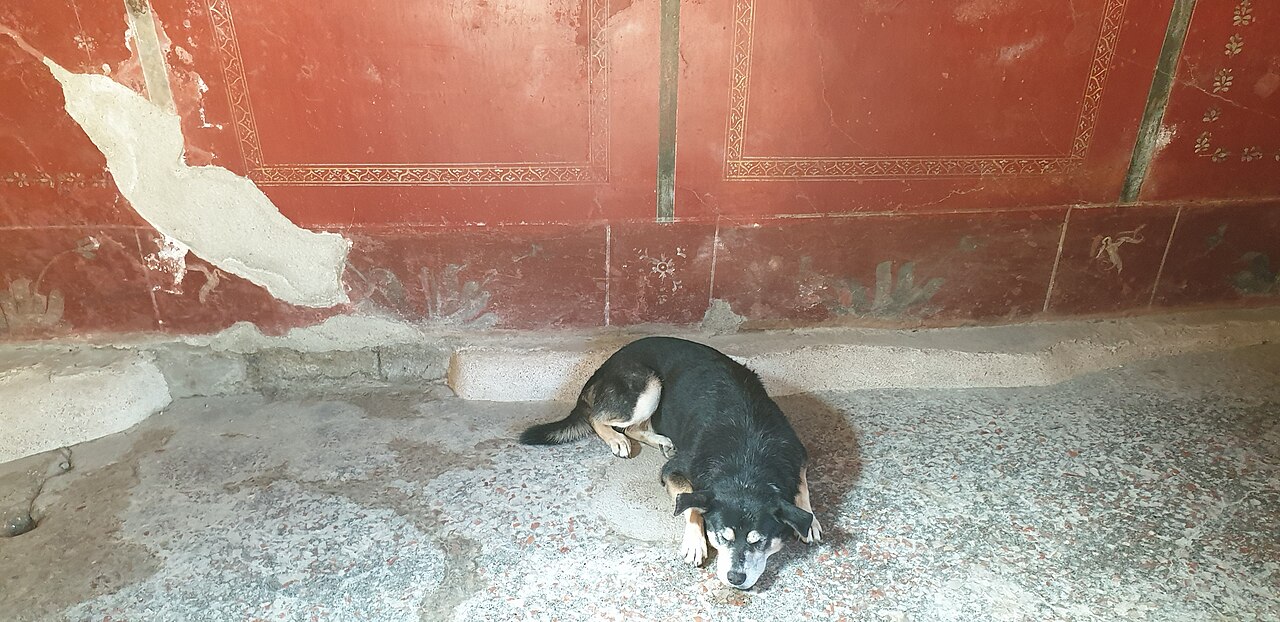 Pompeii Lupanar (Brothel), Pompeii, Italy