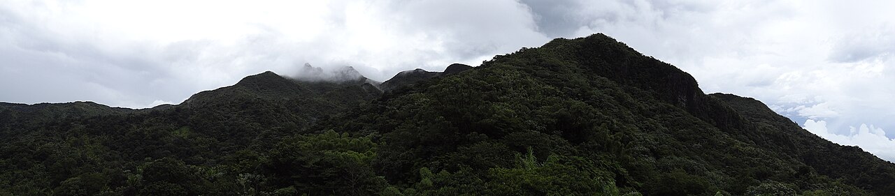 Panarama of El Yunque from Yakahu