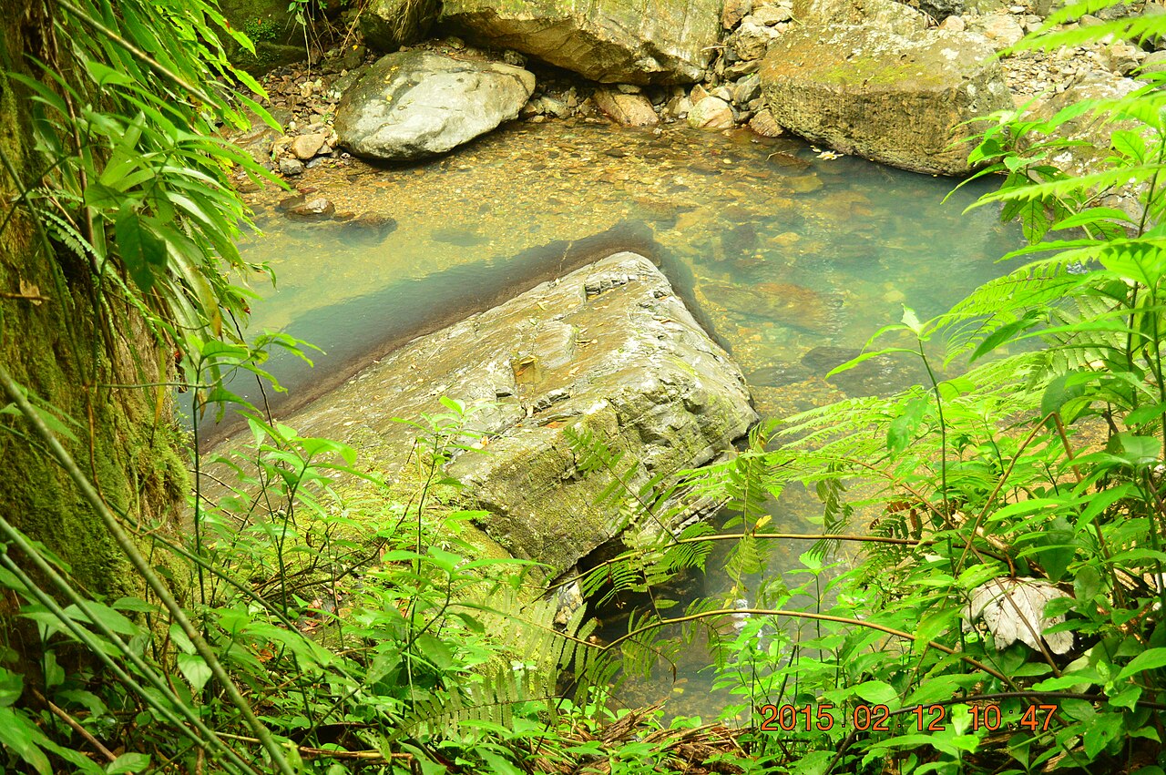 The La Mina river and trail in El Yunque - leads to La Mina roaring waterfall and connects to the Big Trees Trail.
