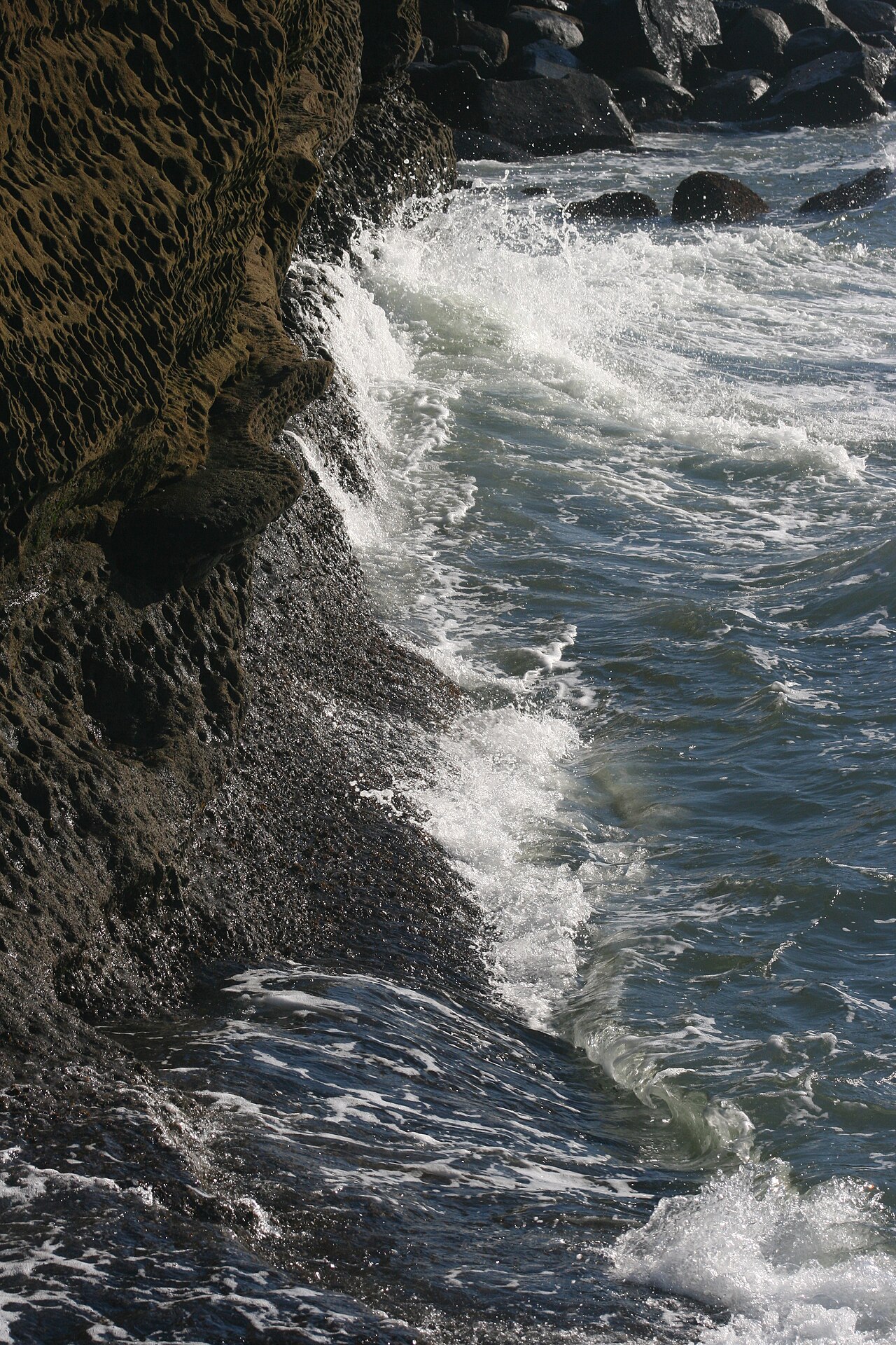 Sunset Cliffs, January 2011