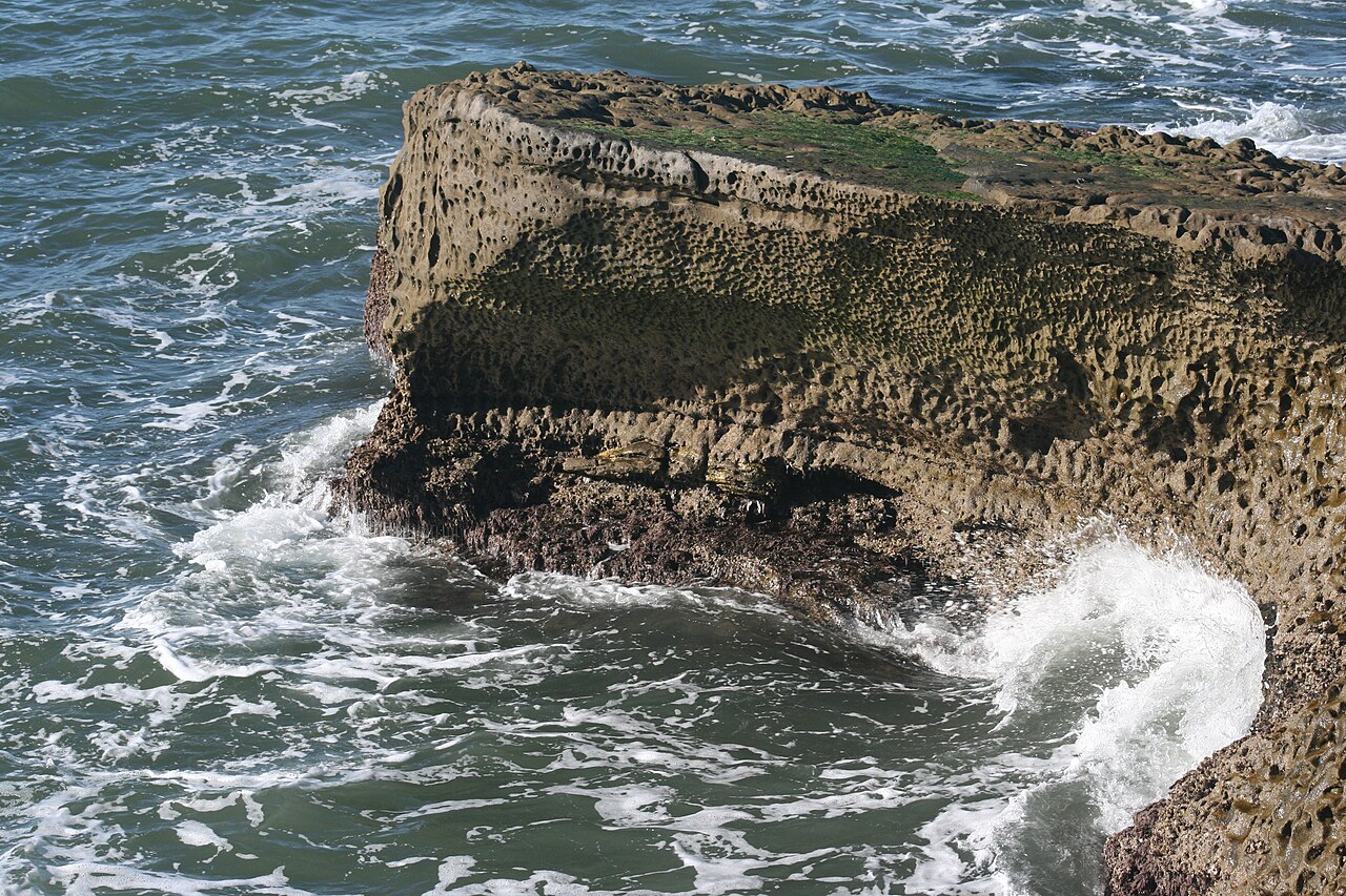 Sunset Cliffs, January 2011