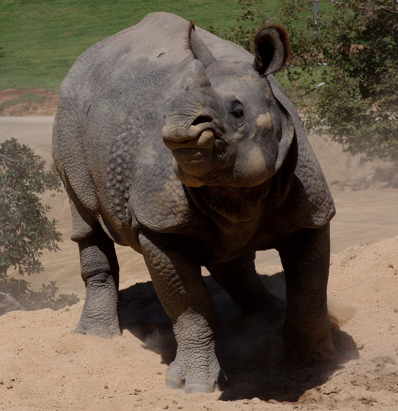 Wild Animal Park

San Diego, CA