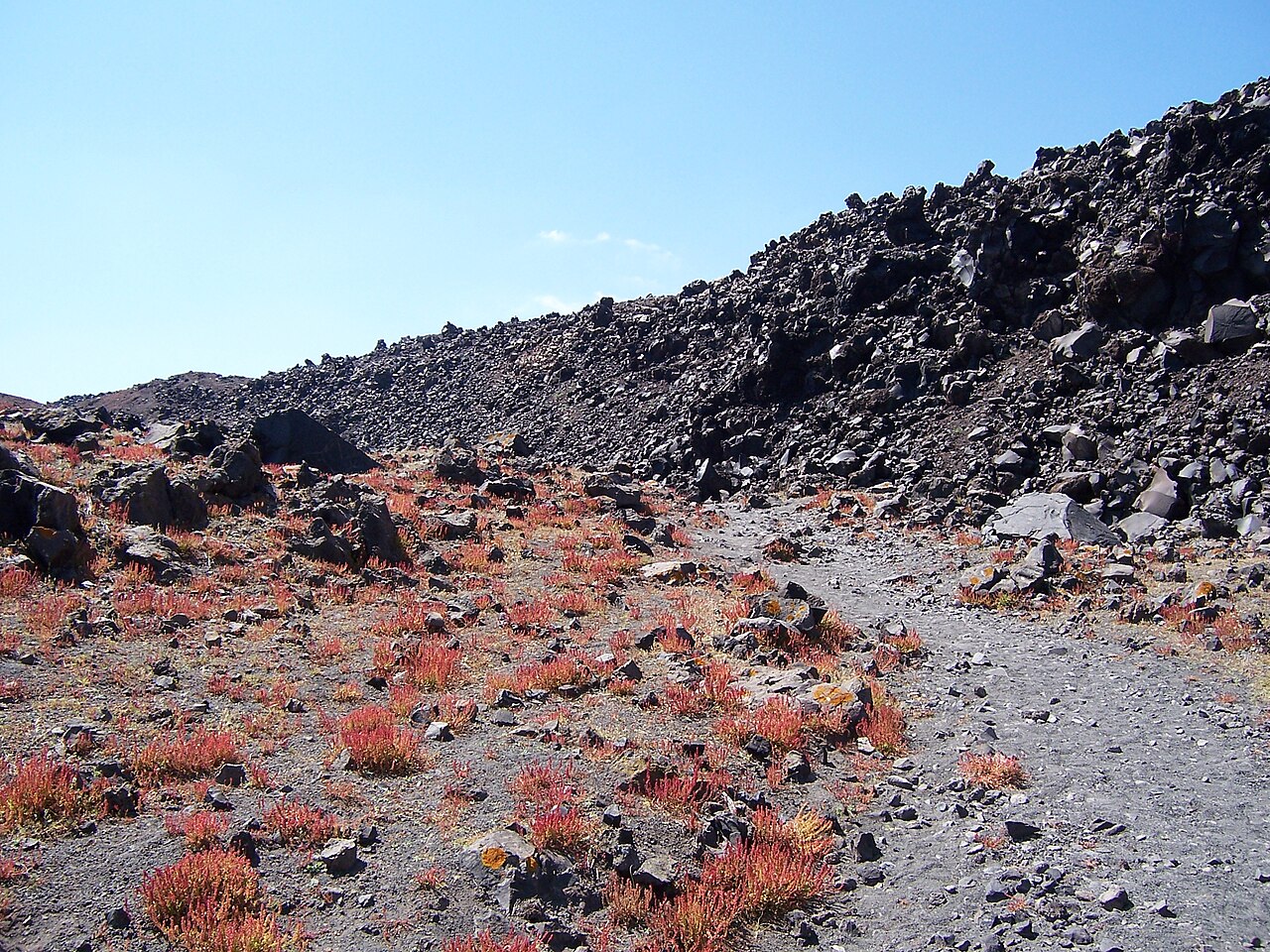 Nea Kameni landscape
