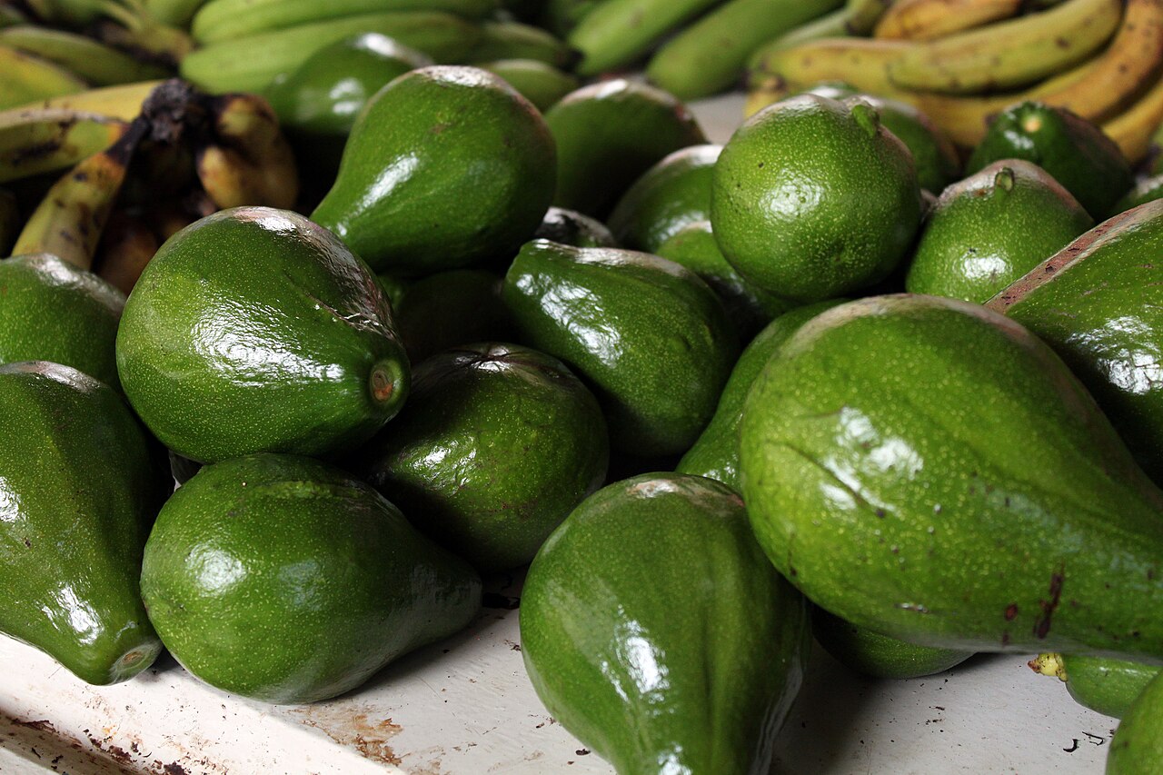 Avocados in Seychelles