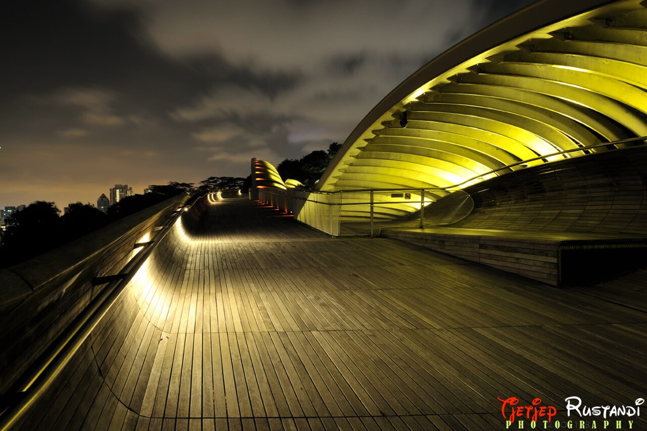 500px provided description: Standing at 36m above the busy Henderson Road, Henderson Waves Bridge is Singapore???s highest pedestrian bridge, connecting Mount Faber Park to Telok Blangah Hill Park. Th