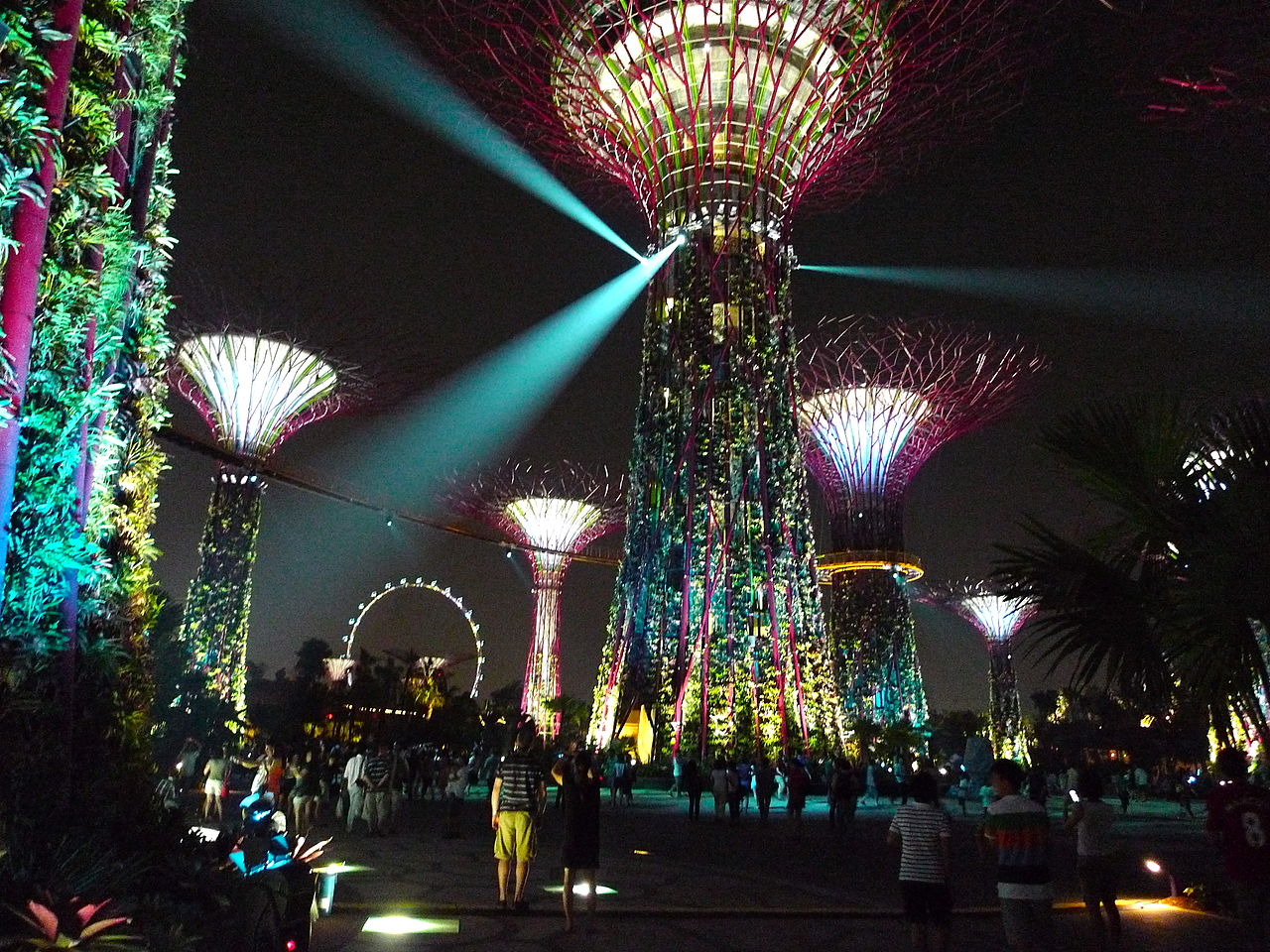 A view of the Supertree Grove at Gardens by the Bay, Singapore, while the nightly OCBC Garden Rhapsody light and music show is in progress.