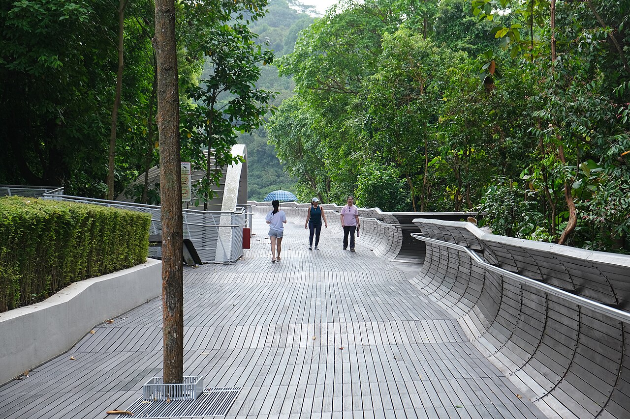 Henderson Waves, a pedestrian bridge crossing Henderson Road in the Southern Ridges in Singapore