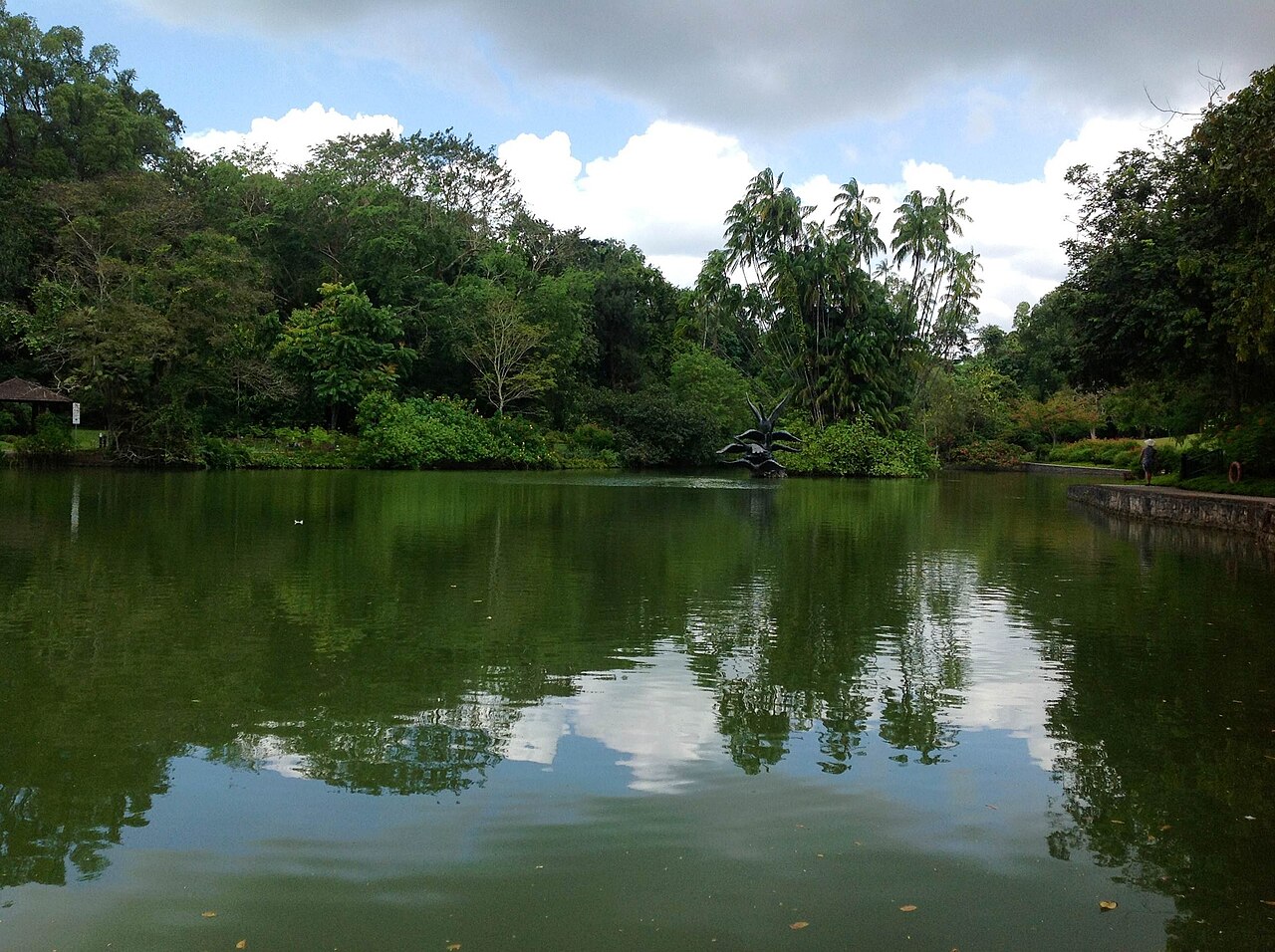 Swan Lake, Singapore Botanic Gardens