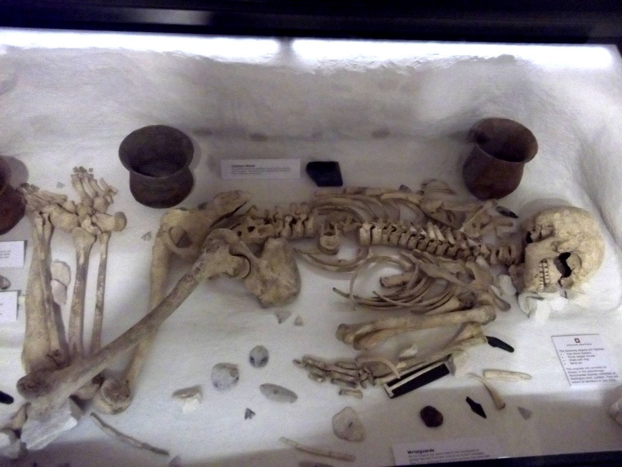 The Amesbury Archer. An early Bronze Age man whose grave was discovered during excavations at the site of a new housing development in Amesbury near Stonehenge. Now on display in the Salisbury and Sou