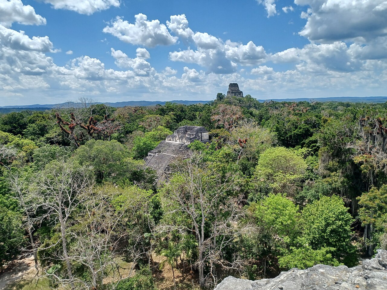 Talud-Tablero Temple, Tikal, 2017