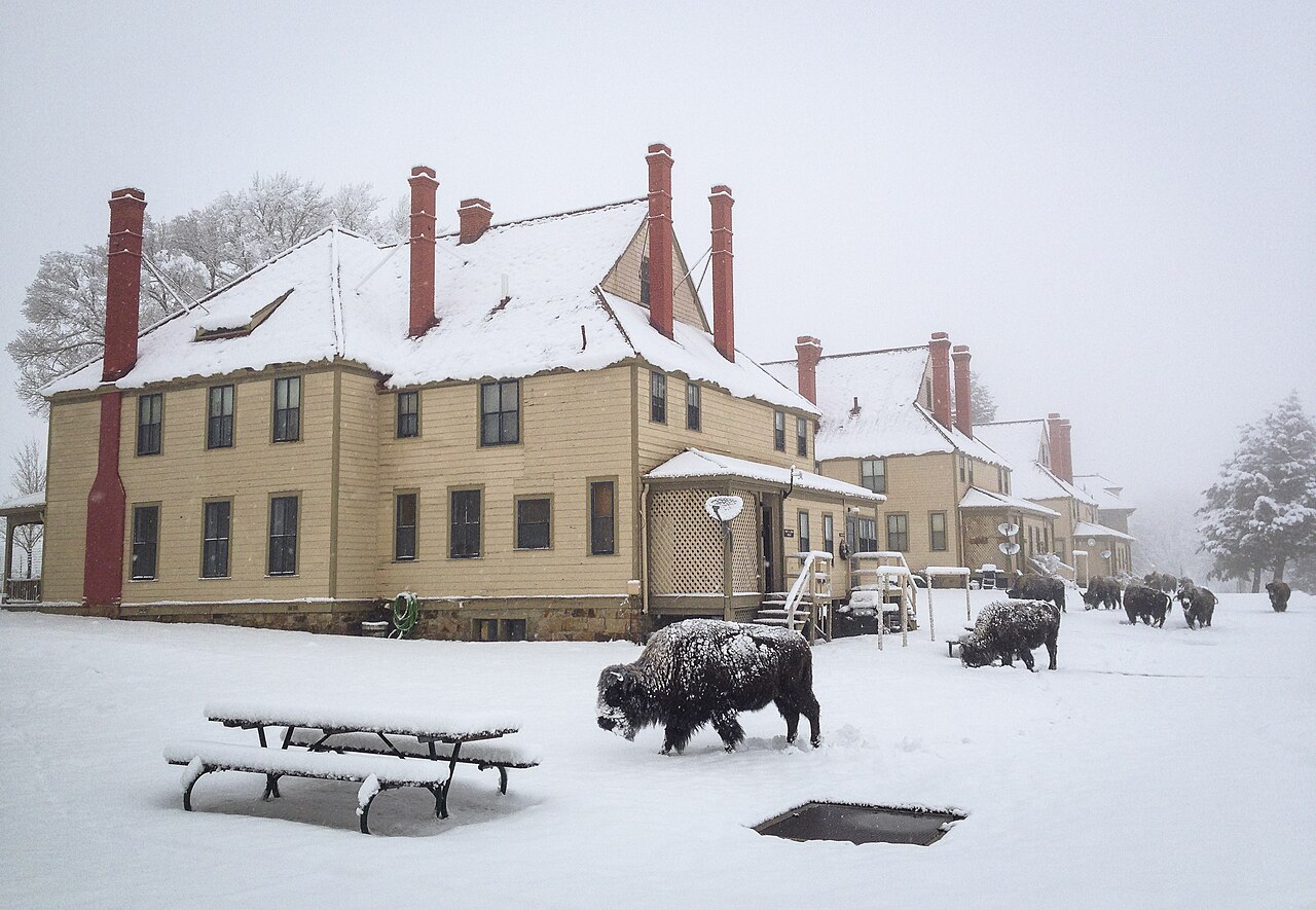 A herd of bison walk in snow behind Fort Yellowstone.
Bison at Fort Yellowstone
Keywords: yellowstone national park; mammals; wildlife; bison; bison bison; 20140330-ndh