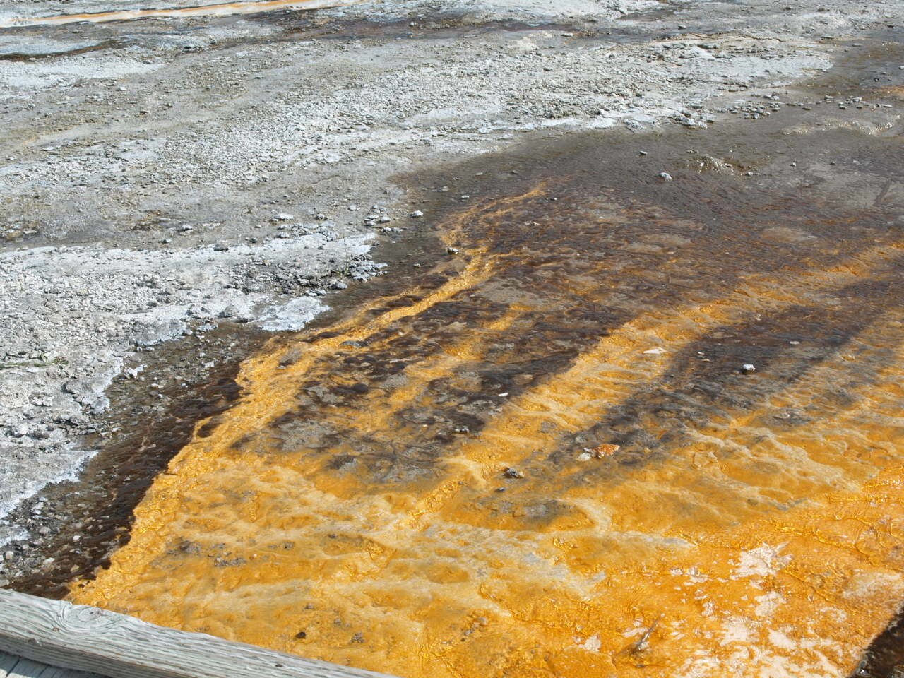 Algae not lava, near Old Faithful Geyser fields