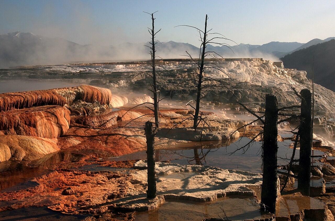 Mammoth Hot Springs terraces. Hot water is the creative force of the terraces.Even though Mammoth Hot Springs lie north of the caldera ring-fracture system, a fault trending north from Norris Geyser B