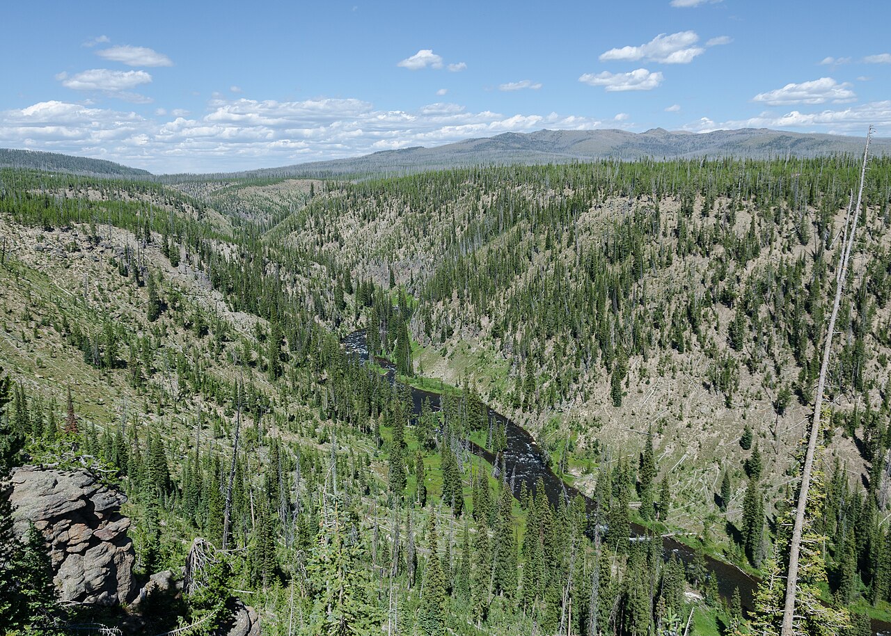 The Lewis River in Yellowstone National Park as seen from a parking lot